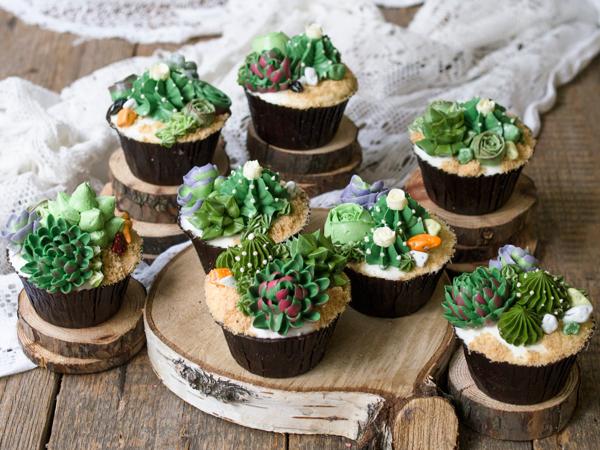 Succulent Cupcakes